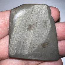 Load image into Gallery viewer, Ammolite Ammonite Gem Stone from Alberta 1.7 Inches
