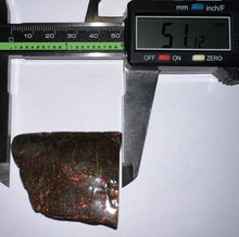 Load image into Gallery viewer, Ammolite Ammonite Gem Stone from Alberta 2.2 Inches
