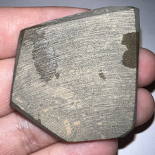 Load image into Gallery viewer, Ammolite Ammonite Gem Stone from Alberta 1.8 Inches
