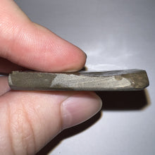 Load image into Gallery viewer, Ammolite Ammonite Gem Stone from Alberta 1.8 Inches
