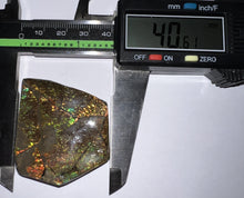 Load image into Gallery viewer, Ammolite Ammonite Gem Stone from Alberta 1.8 Inches
