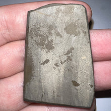 Load image into Gallery viewer, Ammolite Ammonite Gem Stone from Alberta 1.75 Inches
