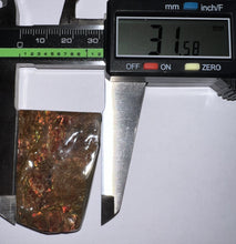 Load image into Gallery viewer, Ammolite Ammonite Gem Stone from Alberta 1.75 Inches

