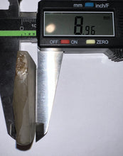 Load image into Gallery viewer, Ammolite Ammonite Gem Stone from Alberta 1.75 Inches
