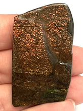 Load image into Gallery viewer, Ammolite Ammonite Gem Stone from Alberta 1.9 Inches
