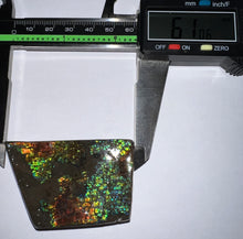 Load image into Gallery viewer, Ammolite Ammonite Gem Stone from Alberta 2.4 Inches
