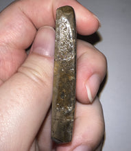 Load image into Gallery viewer, Ammolite Ammonite Gem Stone from Alberta 2.5 Inches
