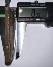 Load image into Gallery viewer, Ammolite Ammonite Gem Stone from Alberta 2.5 Inches
