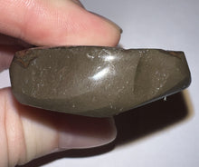 Load image into Gallery viewer, Ammolite Ammonite Gem Stone from Alberta 2.5 Inches
