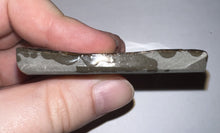 Load image into Gallery viewer, Ammolite Ammonite Gem Stone from Alberta 2.35 Inches
