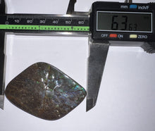 Load image into Gallery viewer, Ammolite Ammonite Gem Stone from Alberta 2.5 Inches
