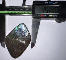 Load image into Gallery viewer, Ammolite Ammonite Gem Stone from Alberta 2.5 Inches
