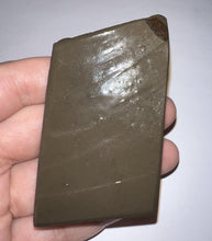 Load image into Gallery viewer, Ammolite Ammonite Gem Stone from Alberta 3 Inches
