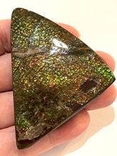 Load image into Gallery viewer, Ammolite Ammonite Gem Stone from Alberta 3.1 Inches
