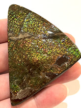 Load image into Gallery viewer, Ammolite Ammonite Gem Stone from Alberta 3.1 Inches
