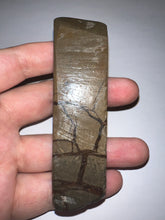 Load image into Gallery viewer, Ammolite Ammonite Gem Stone from Alberta 3.85 Inches
