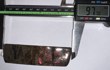 Load image into Gallery viewer, Ammolite Ammonite Gem Stone from Alberta 3.85 Inches
