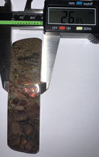 Load image into Gallery viewer, Ammolite Ammonite Gem Stone from Alberta 3.85 Inches
