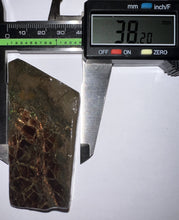 Load image into Gallery viewer, Ammolite Ammonite Gem Stone from Alberta 3.1 Inches
