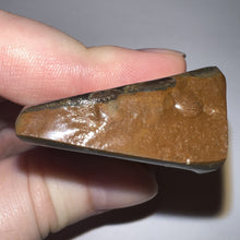 Load image into Gallery viewer, Ammolite Ammonite Gem Stone from Alberta 3.1 Inches
