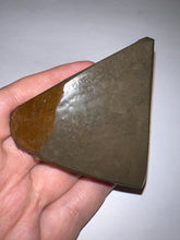 Load image into Gallery viewer, Ammolite Ammonite Gem Stone from Alberta 3 Inches
