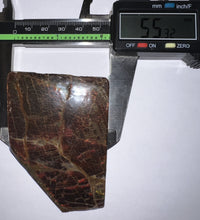 Load image into Gallery viewer, Ammolite Ammonite Gem Stone from Alberta 3 Inches
