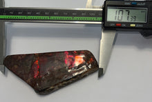 Load image into Gallery viewer, Ammolite Ammonite Gem Stone from Alberta 4.25 Inches
