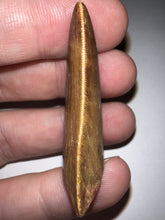 Load image into Gallery viewer, Carcharodontosaur Fossil Tooth 1.83 Inches No Repair
