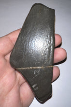 Load image into Gallery viewer, Ammolite Ammonite Gem Stone from Alberta 4.25 Inches
