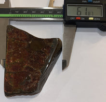 Load image into Gallery viewer, Ammolite Ammonite Gem Stone from Alberta with Mosasaur Bite Marks 3.1 Inches
