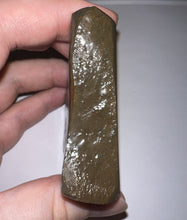 Load image into Gallery viewer, Ammolite Ammonite Gem Stone from Alberta with Mosasaur Bite Marks 3.1 Inches
