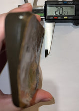 Load image into Gallery viewer, Ammolite Ammonite Gem Stone from Alberta with Mosasaur Bite Marks 4.3 Inches
