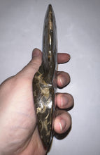 Load image into Gallery viewer, SUPER RARE Complete Ammolite Ammonite from Alberta 5.4 Inches
