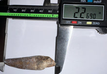 Load image into Gallery viewer, Suchomimus Large Fossil Tooth VERY RARE!! 2.26 Inches!
