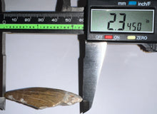 Load image into Gallery viewer, Suchomimus Large Serrated Fossil Tooth VERY RARE!! 2.34 Inches!
