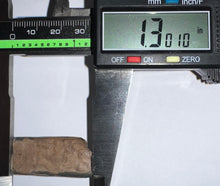 Load image into Gallery viewer, Ice Age Fossil Ground Sloth Megalonyx Tooth 1.3 Inches
