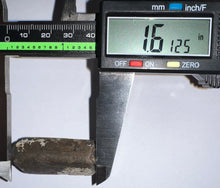 Load image into Gallery viewer, Ice Age Fossil Ground Sloth Megalonyx Tooth 1.61 Inches
