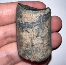 Load image into Gallery viewer, Ice Age Fossil Ground Sloth Megalonyx Tooth 1.62 Inches
