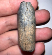 Load image into Gallery viewer, Ice Age Fossil Ground Sloth Megalonyx Tooth 1.62 Inches
