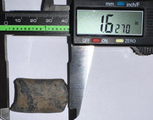 Load image into Gallery viewer, Ice Age Fossil Ground Sloth Megalonyx Tooth 1.62 Inches
