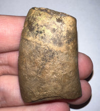 Load image into Gallery viewer, Rare Ice Age Fossil Ground Sloth Megalonyx Canine Tooth 1.83 Inches
