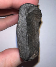 Load image into Gallery viewer, Rare Ice Age Fossil Giant Ground Sloth Eremotherium Partial Tooth 2.22 Inches
