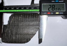 Load image into Gallery viewer, Rare Ice Age Fossil Giant Ground Sloth Eremotherium Huge Partial Tooth 2.8 Inches
