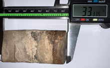 Load image into Gallery viewer, Rare Ice Age Fossil Giant Ground Sloth Eremotherium Huge Partial Tooth 3.33 Inches
