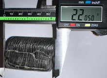 Load image into Gallery viewer, Rare Ice Age Fossil Giant Ground Sloth Eremotherium Tooth 2.2 Inches
