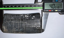 Load image into Gallery viewer, GEM Rare ENORMOUS Ice Age Fossil Giant Ground Sloth Eremotherium Tooth 4 Inches
