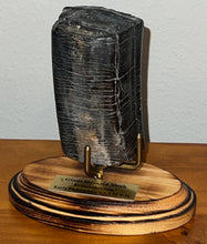 Load image into Gallery viewer, GEM Rare ENORMOUS Ice Age Fossil Giant Ground Sloth Eremotherium Tooth 4 Inches
