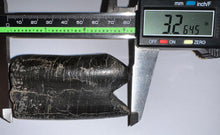 Load image into Gallery viewer, GEM Rare Huge Ice Age Fossil Giant Ground Sloth Eremotherium Tooth 3.26 Inches
