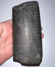 Load image into Gallery viewer, GEM Rare ENORMOUS Ice Age Fossil Giant Ground Sloth Eremotherium Tooth 4.73 Inches
