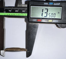 Load image into Gallery viewer, Framed Tyrannosaurus Rex Fossil Tooth Fragment 1.35 Inches
